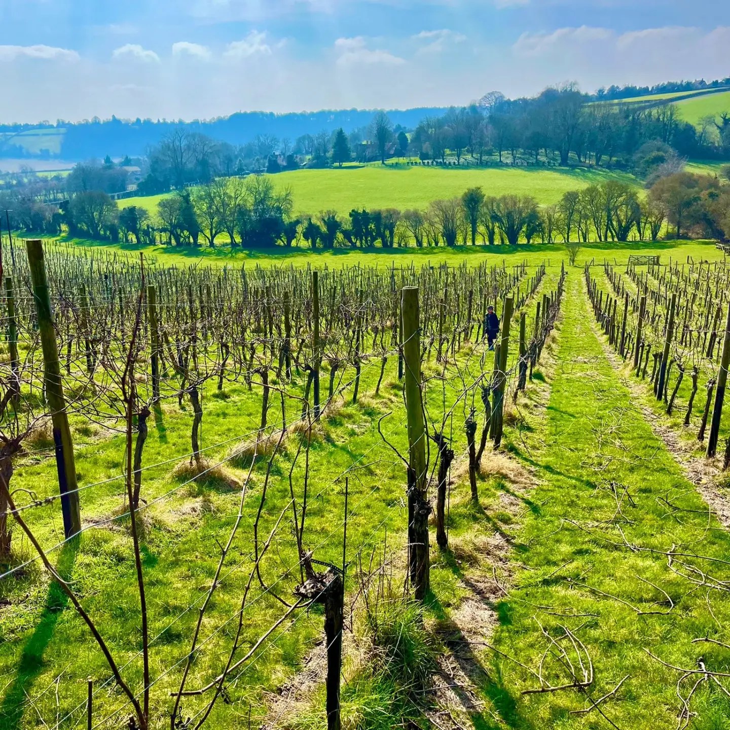 top-things-to-do-and-places-to-visit-in-amersham